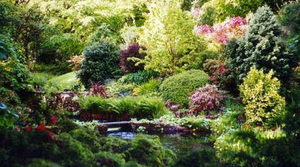 ecosistemul terrei se va prabusi in maxim 100 de ani