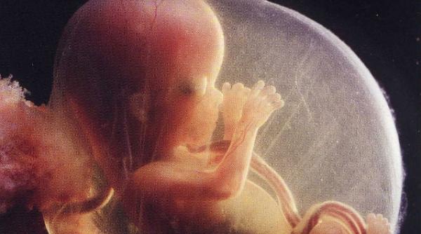 americanii au realizat harta genomului unui fat de 18 saptamani aceasta va permite depistarea oricarei afectiuni genetice