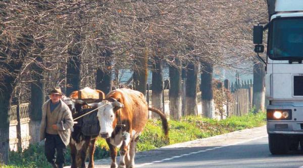 mortalul turnir al frustratilor