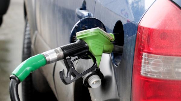 universitatea edinburgh biocombustibilii nu sunt chiar atat de verzi