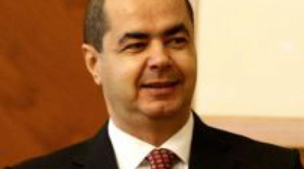 stanisoara vrea in noua conducere a pdl blaga poate fi o varianta de presedinte ungureanu exclus