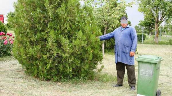 contrabanda cu tigari ascunse in tomberoanele pentru gunoi video