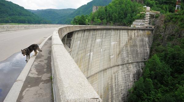 hidroelectrica a cerut intrarea in insolventa