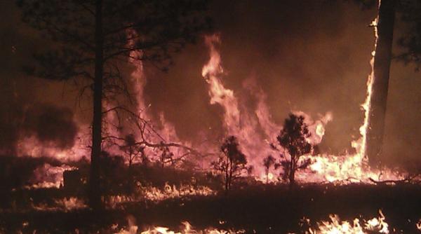 a incendiat o padure incercand sa trimita semnale de fum