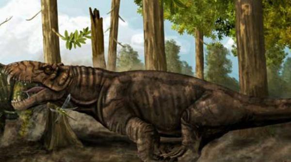 cu google earth pe urmele unor animale misterioase