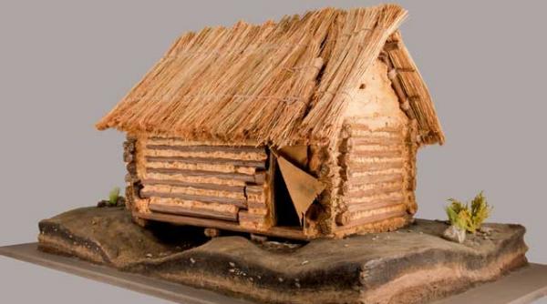 atinge istoria simte viata de acum 6 000 de ani