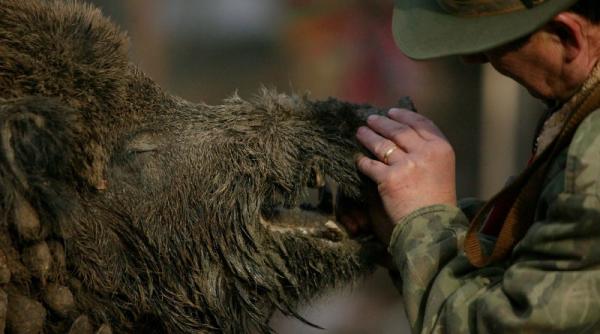 peste 1 300 de infractiuni descoperite de politisti la actiuni de combaterea braconajului