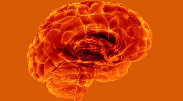 accidentul vascular cerebral un risc ce poate fi calculat