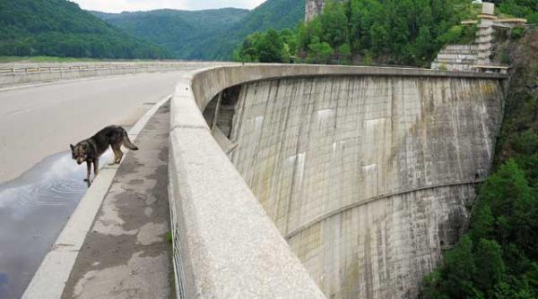 fondul proprietatea insolventa hidroelectrica e ca folosirea bombei nucleare pentru a rezolva o problema de lichiditate