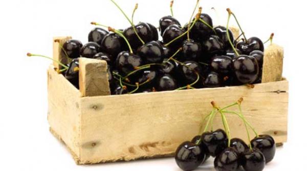 cireasa de pe export