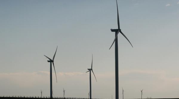 reportaj din patria eolienelor cum functioneaza morile care transforma vantul in energie verde