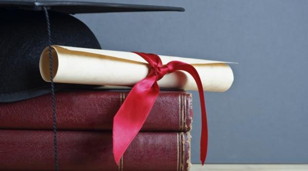 contestatie la adresa premierului ori privind sistemul de organizare a studiilor doctorale