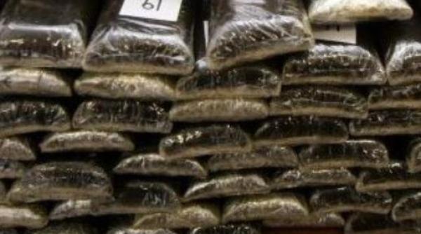 captura impresionanta de droguri la granita cu romania peste patru tone de hasis confiscate la la vidin