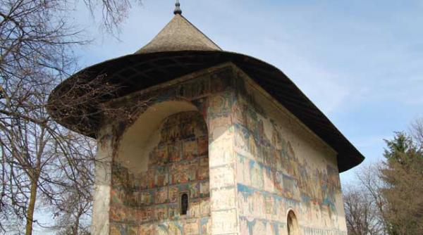 verde intunecat de arbore