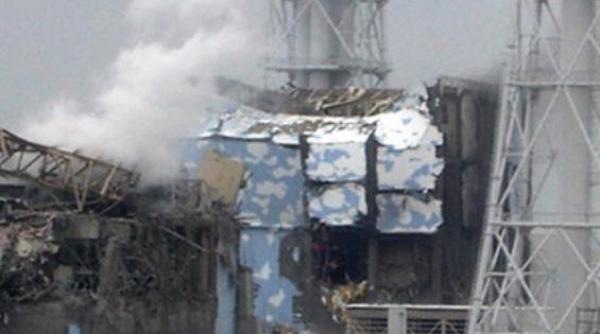 raport accidentul de la fukushima a fost un dezastru creat de om