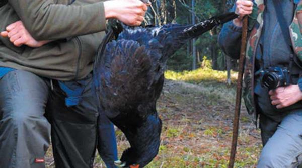 white hunter si cutitul de lemn