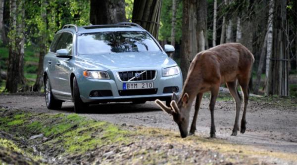 volvo dezvolta trei noi sisteme de siguran a activa