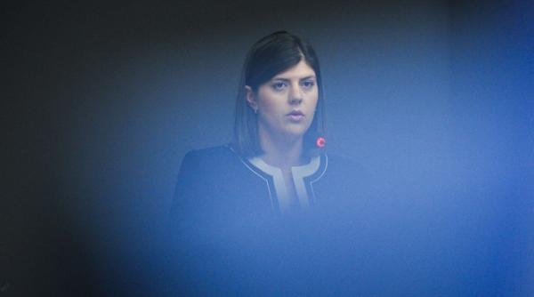 laura ciorduta kovesi prinsa cu un nou plagiat