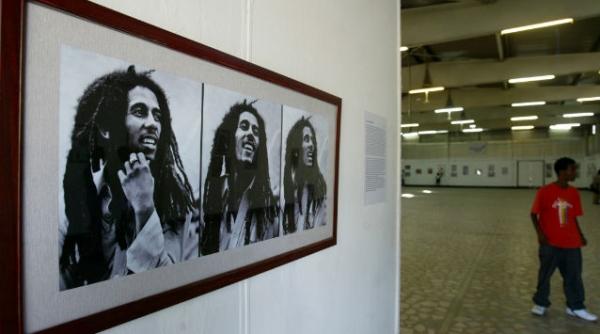 o specie de crustacee a fost numita dupa bob marley