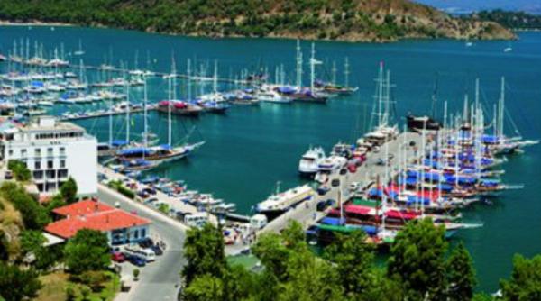 licia spectacolul de pe coasta de turcoaz