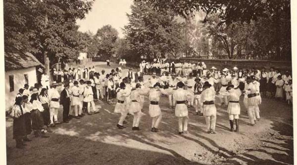 serbari solare cu targuri de fete hore si nedei