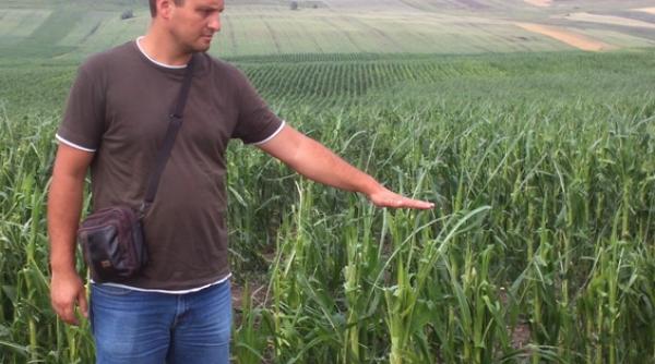 grindina anunta foametea cultivatorii din nordul tarii aspru loviti de intemperii estimeaza cresterea cu 20 30 a pretului cartofilor si graului