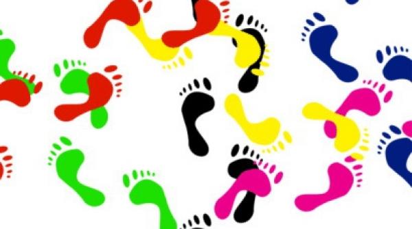 vanzator de alibi afla ce agentie se ocupa de asa ceva