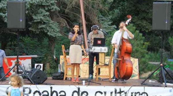 la roaba de cultura e sambata in fiecare zi