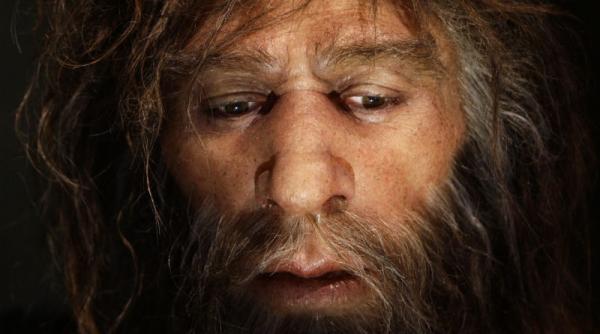 oamenii de neanderthal se ocupau mai mult cu treburile casnice decat cu vanatoarea