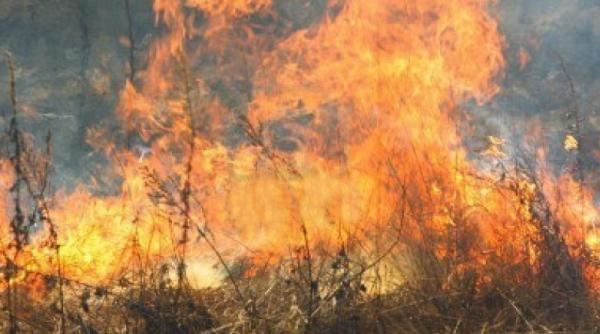 peste 15 hectare de padure cuprinse de un incendiu puternic in muntii sureanu