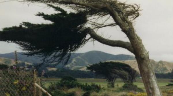 avertizare de vant puternic pentru jumatatea sudica a moldovei estul munteniei si dobrogea in special pe litoral si in delta dunarii