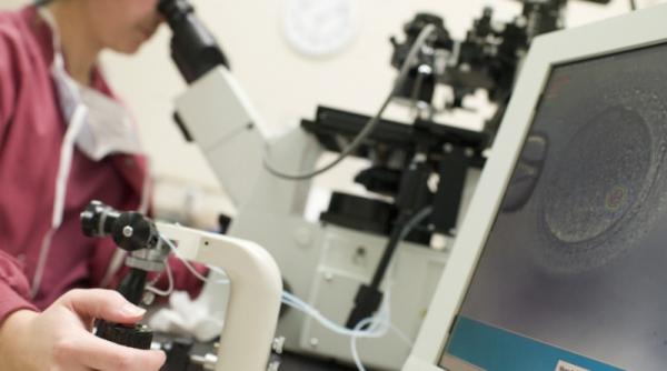 ce trebuie sa stii despre fertilizarea in vitro