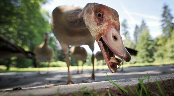 25 iulie 2012 imaginile zilei