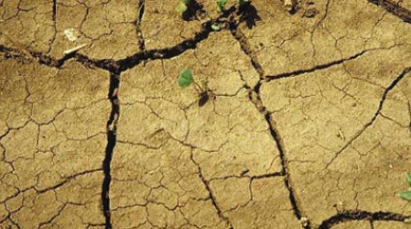 romania pierde 3 milioane de euro din cauza secetei