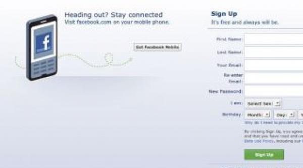 referendum 2012 sefa unei sectii de votare din iasi inlocuita din cauza unui mesaj pe facebook ce le spunea prietenilor