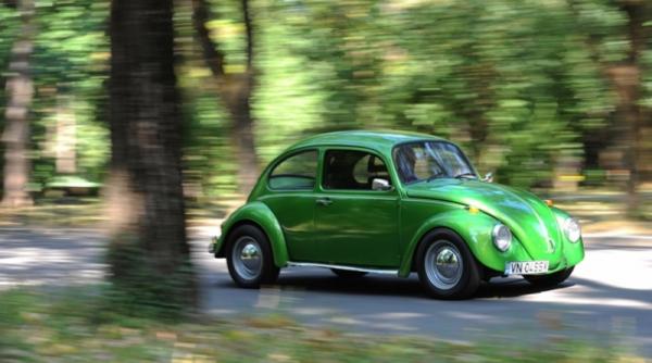 din dragoste pentru verde