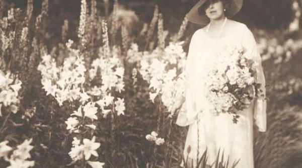 amintiri din anotimpul in care infloresc florile cele mai timpurii