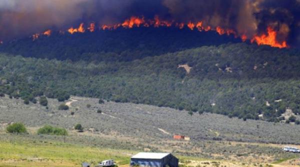 incendiile au izbucnit din nou in muntii bucegi