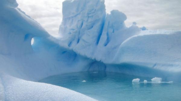 incredibil dar adevarat antarctica a fost acoperita de paduri cvasitropicale