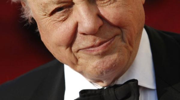 o specie de paianjen a primit numele naturalistului britanic david attenborough