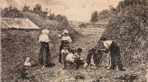 acum 100 de ani starea agricola a romaniei in iulie 1912