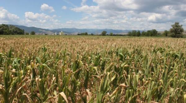 in plina seceta din romania se exporta apa in ungaria