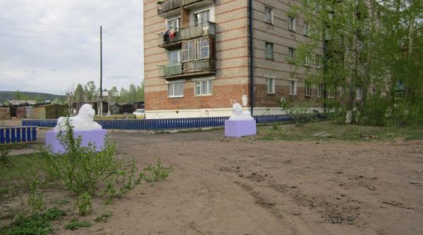 iubire animalica in siberia aventura s a terminat intr o scara de bloc cu interventia pompierilor