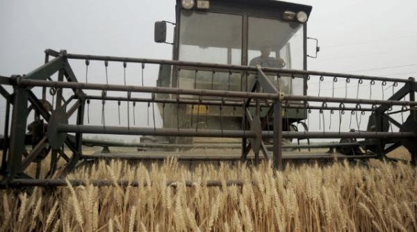 rezervele de alimente la nivel global vor scadea pentru al treilea an consecutiv din cauza secetei