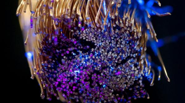 romania a iesit din top 10 mondial la viteza medie de conectare la internet