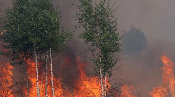 bistrita patru hectare de padure din muntii calimani cuprinse de un incendiu