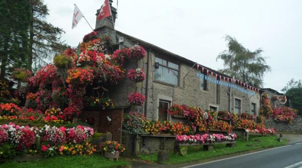 foto o casa a fost acoperita cu flori timp de 26 de ani