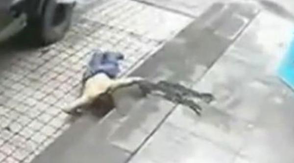 video de ce nu e niciodata indicat sa intepi cauciucurile masinii care te a blocat