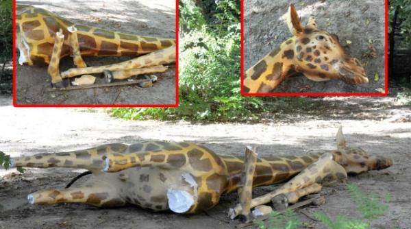 girafa din fata muzeului antipa din capitala a fost distrusa