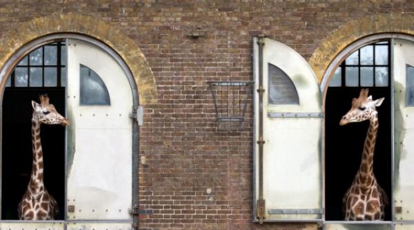 23 august 2012 imaginile zilei